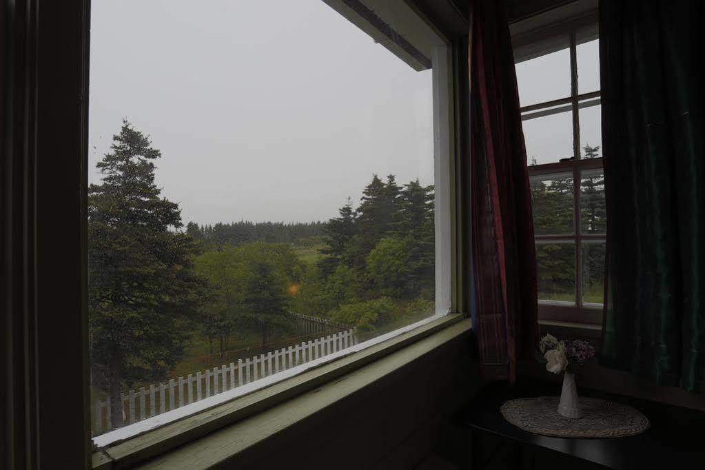 Meems Elliston B&B エクステリア 写真